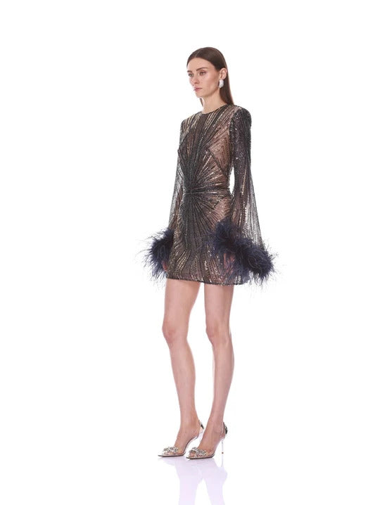 Embellished Mini Dress With Feather