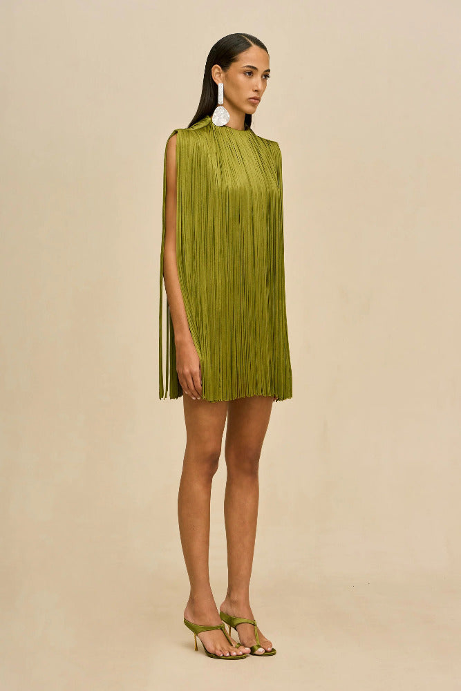 Monica Dress