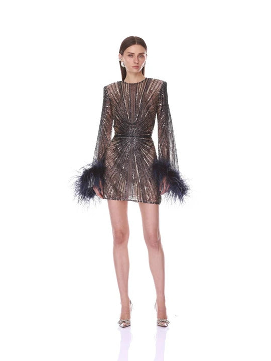 Embellished Mini Dress With Feather