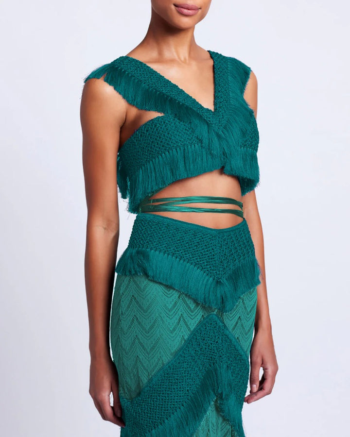 Set Fringe Trim Skirt & Top