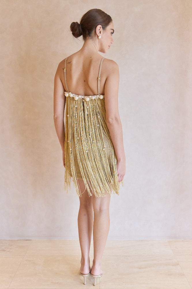 Aurea Crochet Mini Dress