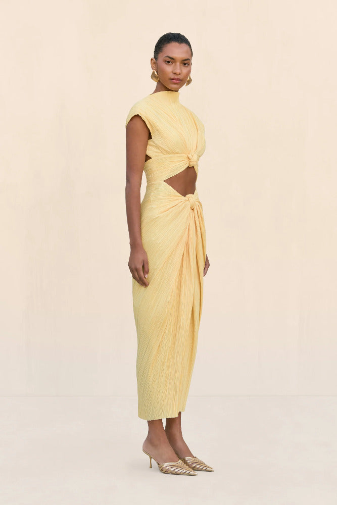Inaya Dress