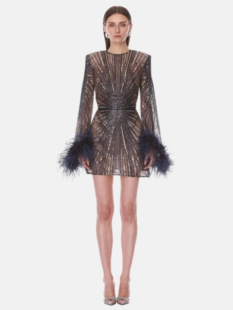 Embellished Mini Dress With Feather