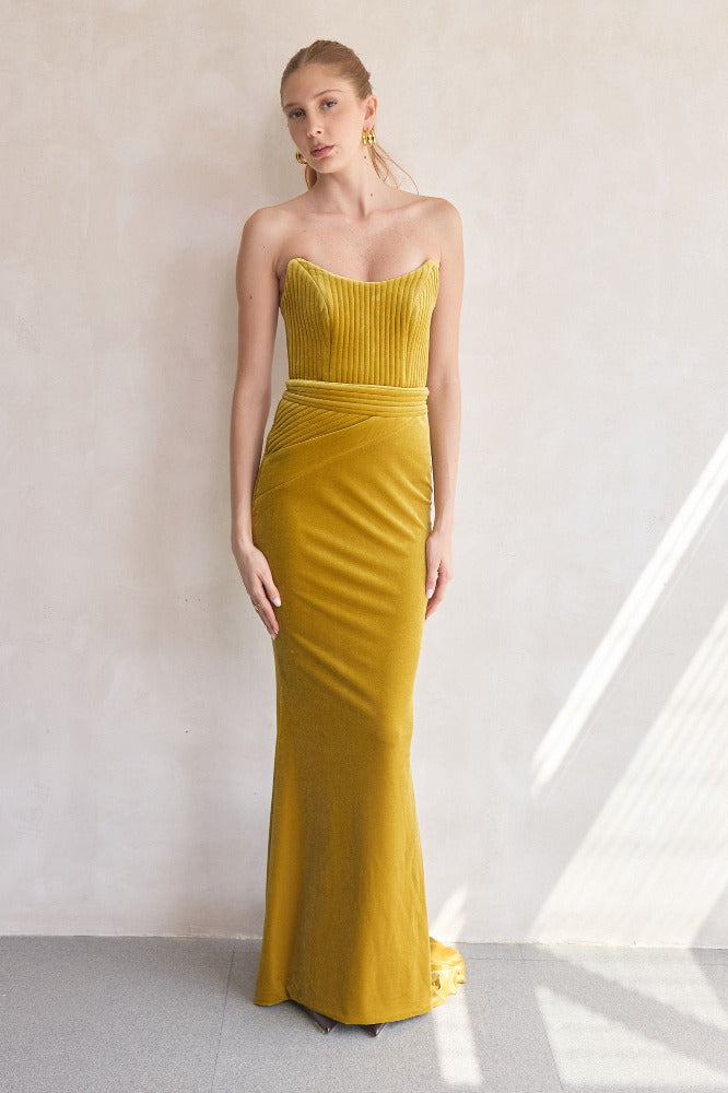 Reine de Reinettes Velvet Gown