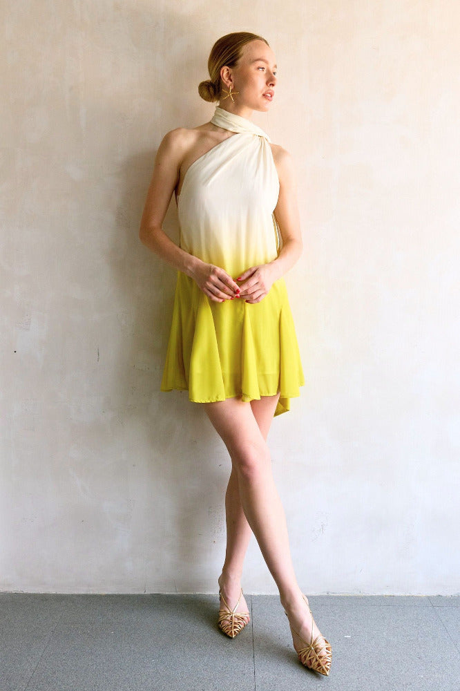 Ari Mini Dress