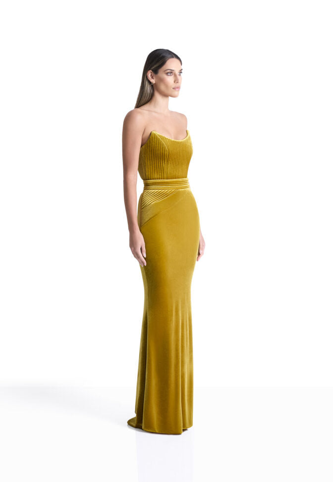 Reine de Reinettes Velvet Gown