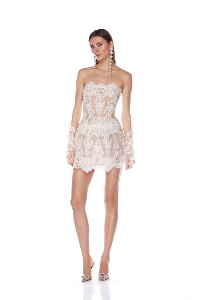 Paris Maraya Lace Mini Dress