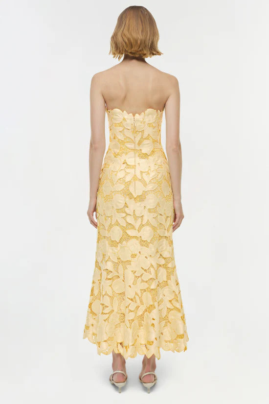 Valletta Bustier Midi Dress