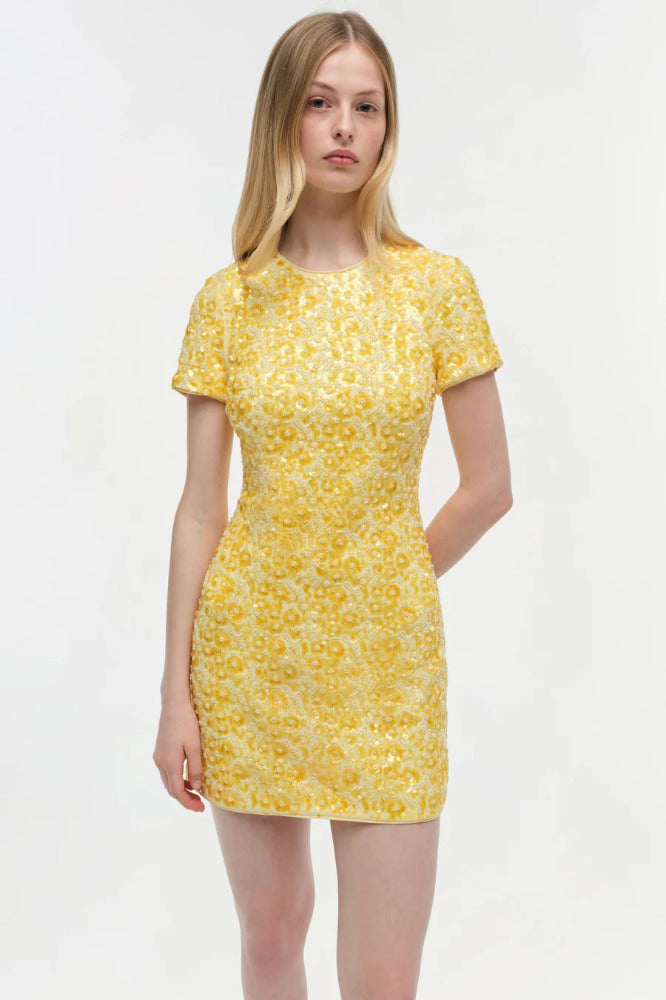 Clove Mini Dress