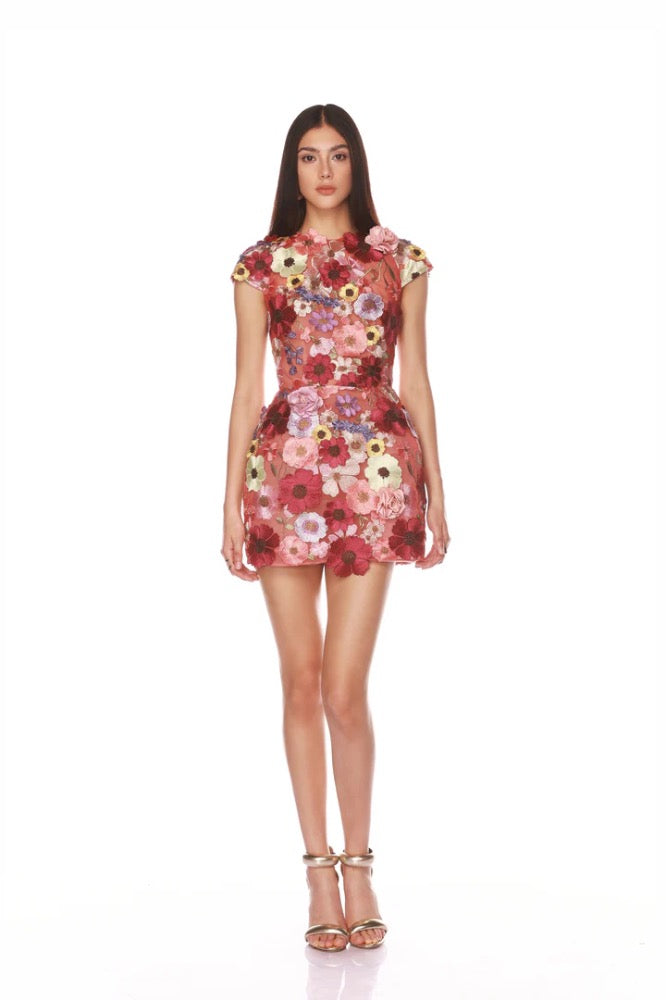 Jasmine Caplseeve Red Multi Mini Dress