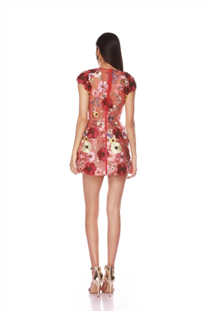 Jasmine Caplseeve Red Multi Mini Dress