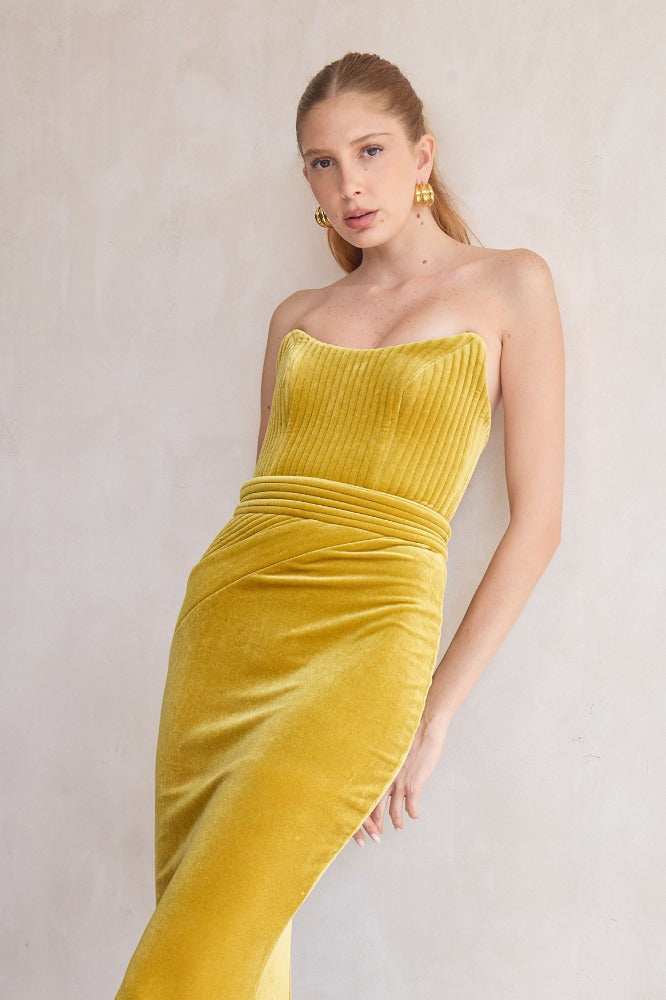 Reine de Reinettes Velvet Gown