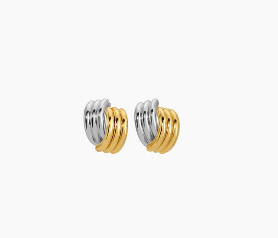 Clove Earrings Mixed