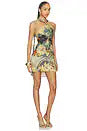 Alex Dress