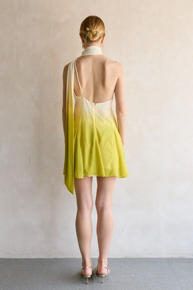 Ari Mini Dress