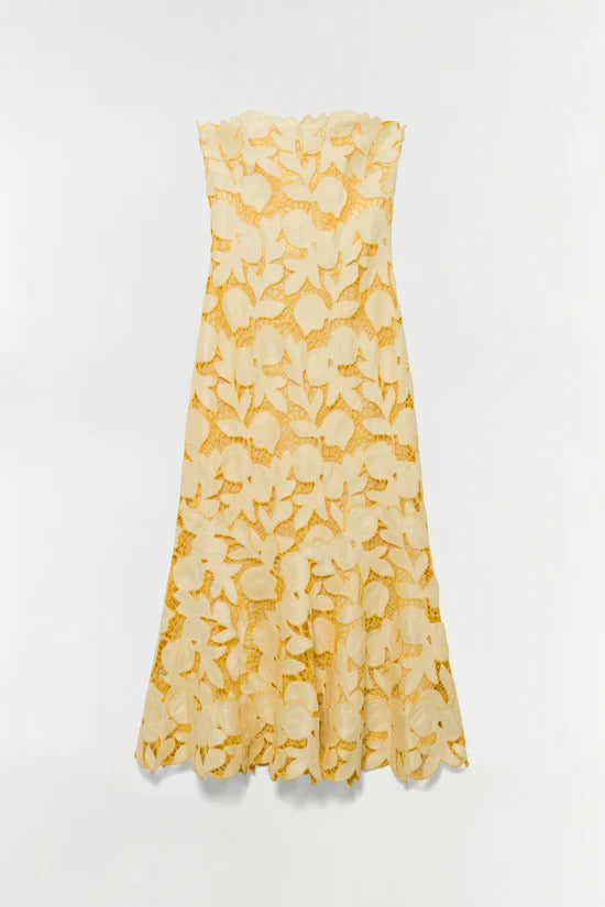 Valletta Bustier Midi Dress