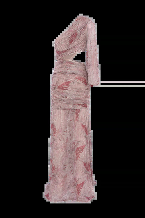 Feathers Maxi Dress