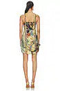 Alex Dress
