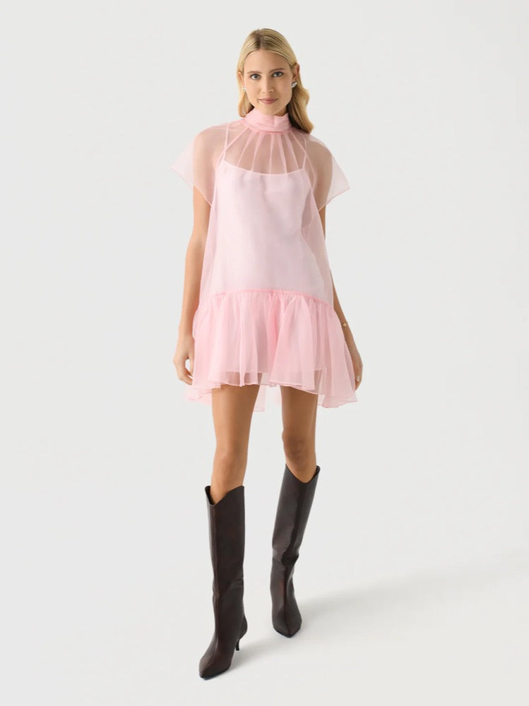 Beaux Tiere Mini Dress