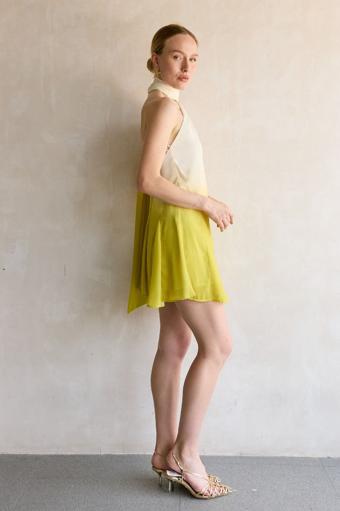 Ari Mini Dress