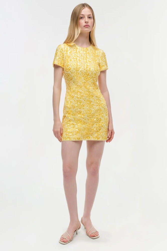 Clove Mini Dress