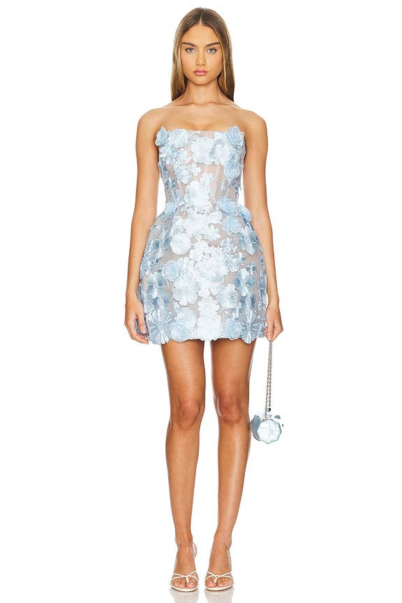 Bouquet Maraya Powder Blue Mini Dress