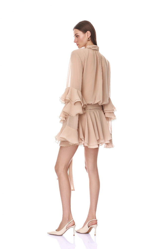 Chiffon Long Sleeve Mini Dress