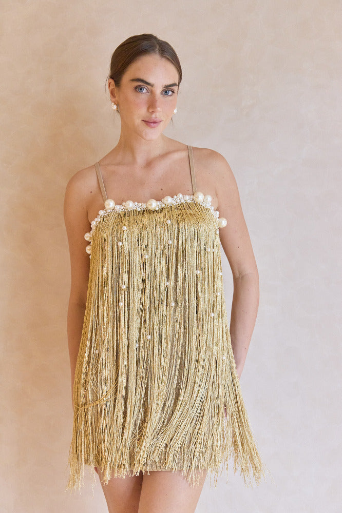 Aurea Crochet Mini Dress