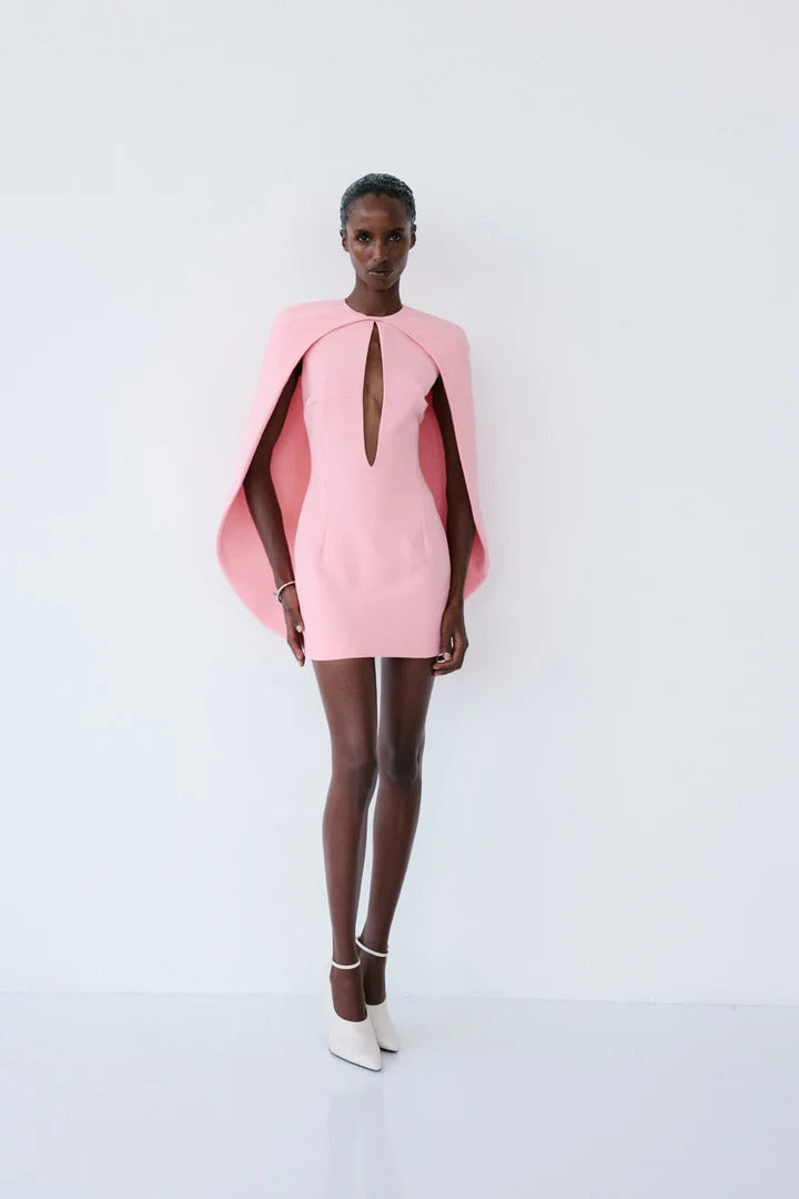 Ada Mini Dress Oyste